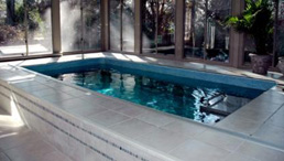 Luxury Indoor Swim Spa